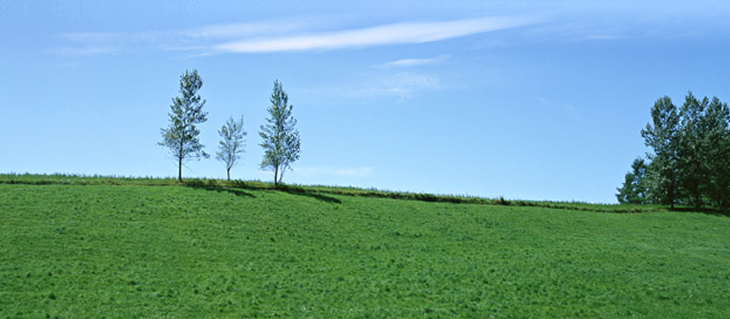 img-3